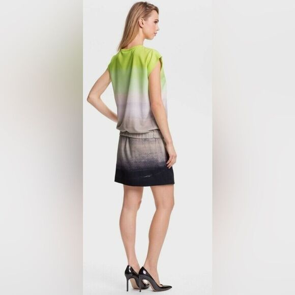 Diane von Furstenberg Tara Dress, Neon Green, Gray and Black, Size 6 H6 - Picture 2 of 9